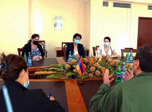 С МККК обсуждались вопросы, связанные с судьбой оказавшегося в Азербайджане офицера Гургена Алавердяна