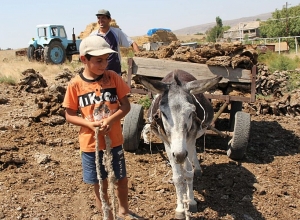 Հեռավար կրթությու՞ն… Ի՞նչ է դա: Օնիկի մայրը եզդերեն լեզվով երեխային բացատրում է ինչի մասին է խոսքը