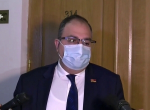 Վլադիմիր Վարդանյանի ճեպազրույցը