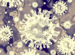 Сколько лет было пациентам, скончавшимся от коронавируса?