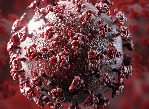 Как коронавирус влияет на нервную систему?