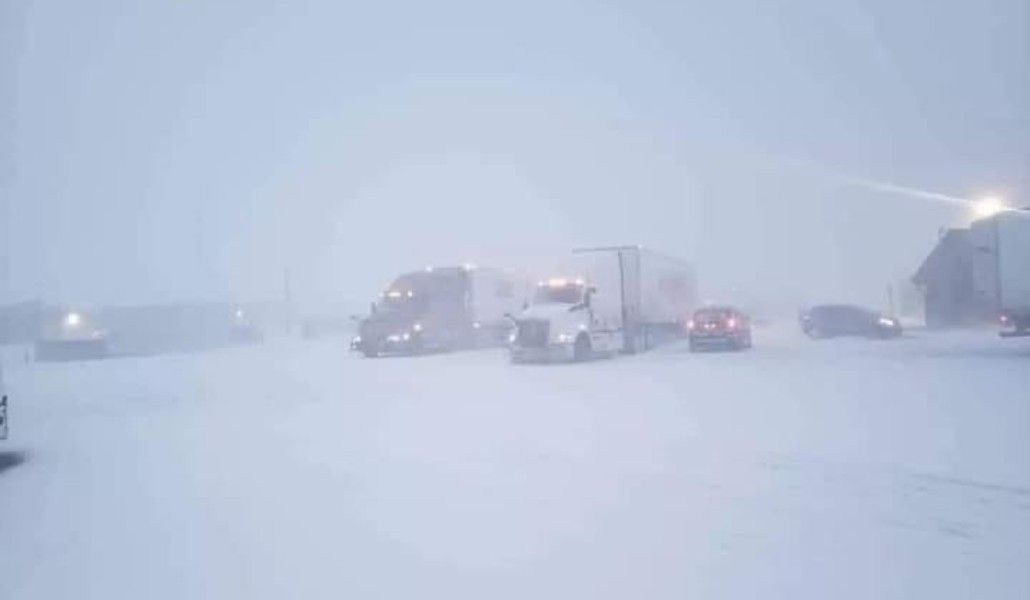 118882860_3512228762173681_5924092435810476246_n