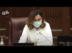 Արդյո՞ք քննիչ հանձնաժողովը քննելու է ընդդիմության վնասակար ազդեցությունը վարակի հաղթահարման գործում