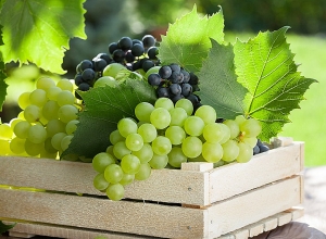 Շահումյան գյուղի բնակիչները ակցիա են անում. պատճառը խաղողի մթերման խնդիրն է. ուղիղ