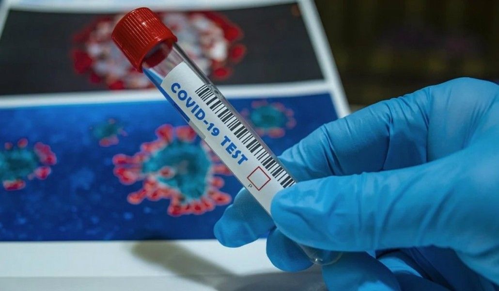 image_11102020104406_16023950466192