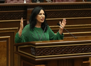 Наира Зограбян лишилась должности председателя постоянной комиссии по защите прав человека