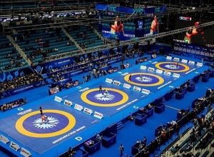 2020 թվականին ըմբշամարտի աշխարհի առաջնություն չի անցկացվի