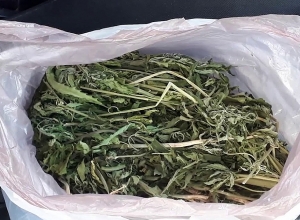 Ախուրյանի ոստիկաններն ապօրինի թմրաշրջանառության դեպք են բացահայտել