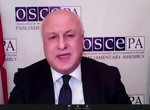 Председатель ПА ОБСЕ Г. Церетели обратился также к нагорно-карабахскому кризису