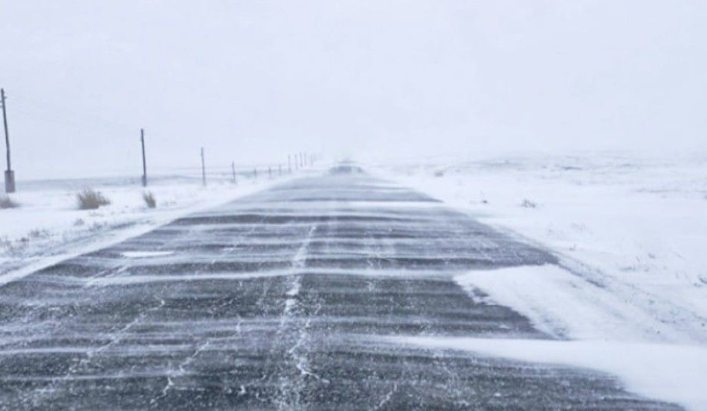 130910929_3935555063145606_5408790938794241302_n