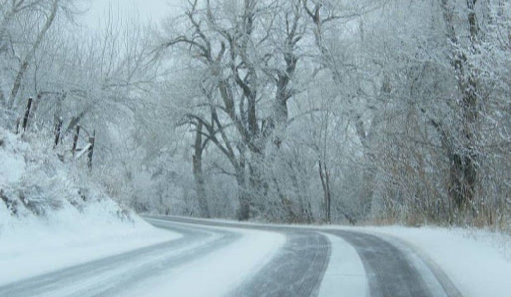 131130215_3938117972889315_6185902812672826691_n