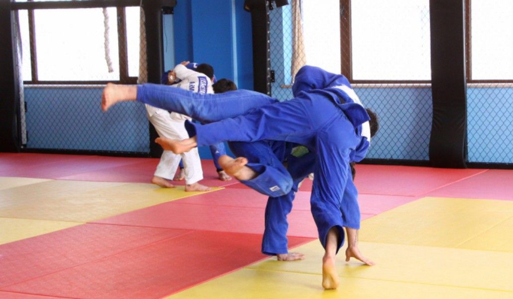 a1+judo 15.12.