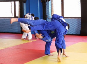 Հայտնի են 2020 թվականի Հայաստանի ձյուդոյի չեմպիոնները