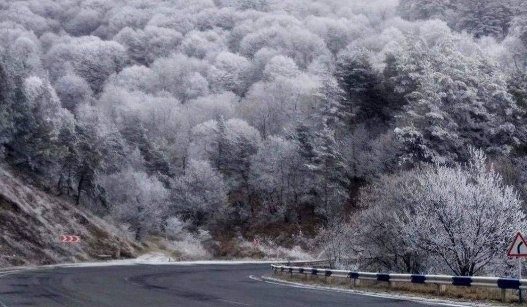 131892499_1642897139216685_351227356945280595_o