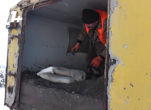 Ստեփանակերտ-Երևան ճանապարհին