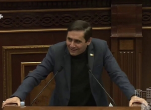 Принести подобный проект - ничто иное, как политическое преследование в отношении Наиры Зограбян: депутат от ППА