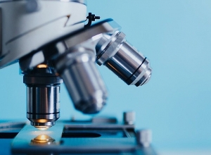 Դատաբժշկական փորձաքննության է ենթարկվել 3330 մարմին․ ԱՆ