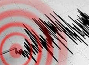 Землетрясение в Грузии: оно ощущалось и в Лорийской области