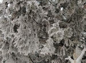 Температура воздуха постепенно повысится