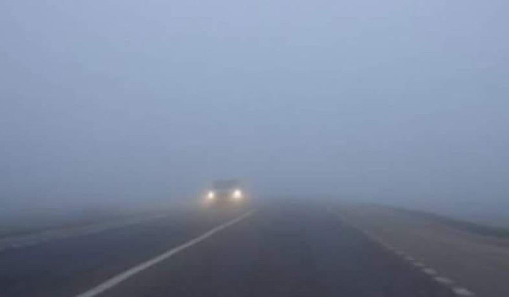 136338692_1660659207440478_2191655769010471309_n