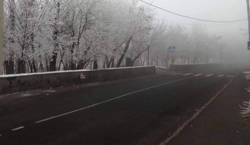 137362223_1662085040631228_844091505833259386_o