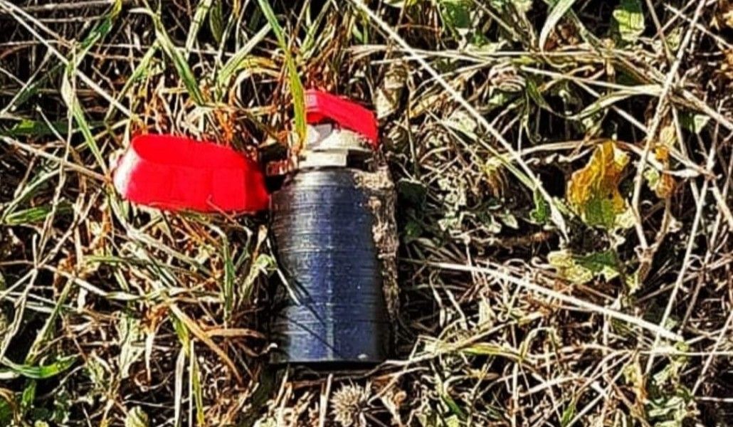 137577004_4013438842023894_816267289259663775_o