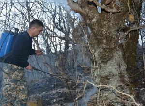 Արցախում մեկ օրում հրդեհի 7 դեպք է արձանագրվել