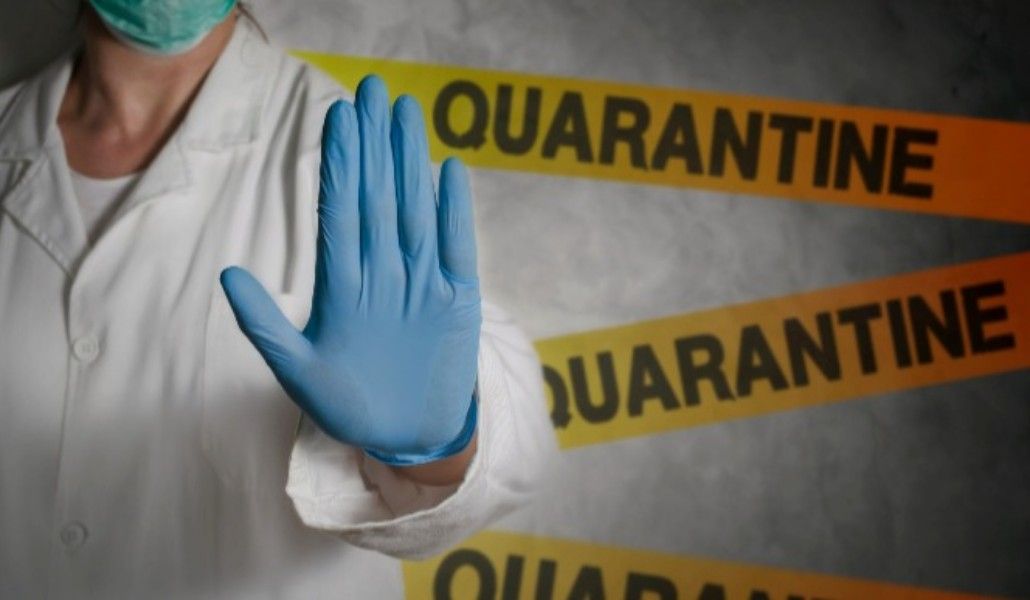 3f1f1e6-quarantine