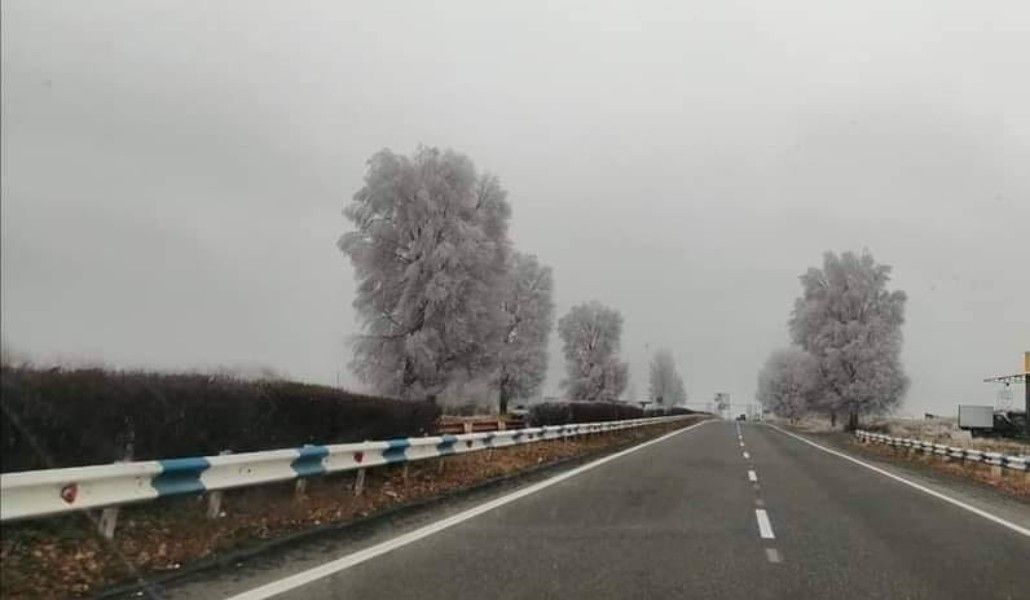 138065262_1664370790402653_6134123638560556696_n