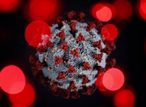 Подтверждено 174 новых случая коронавируса