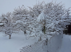 Շիրակում առատ ձյուն է տեղում. Գագիկ Սուրենյան