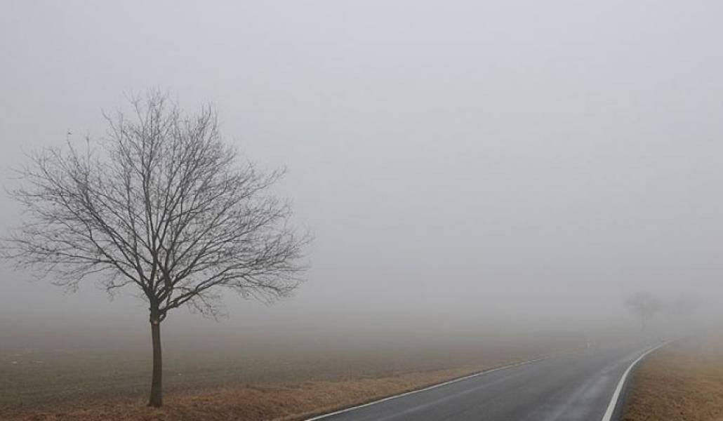 140196320_1668934389946293_3722470495583778609_o (1)