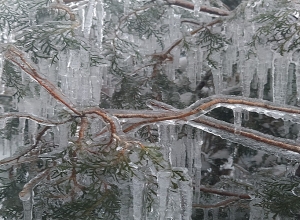В Араратской долине и её предгорьях ожидается похолодание до -2 градусов