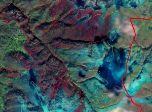 Պատերազմի ժամանակ կանխամտածված վնաս է հասցվել Սյունիքի և Տավուշի մարզերի անտառածածկ տարածքներին