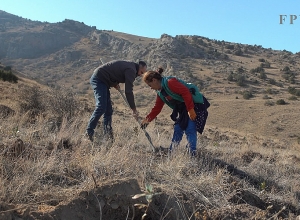 Արսինե Խանջյանը կոչ է արել միանալ Արցախում նախատեսվող ծառատունկին