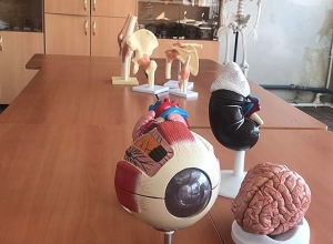 Ավագ դպրոցներում ստեղծվել են բնագիտական առարկաների գծով լաբորատորիաներ