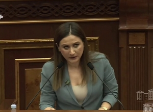 Депутат представила биографию кандидата в члены ВСС Давида Хачатуряна