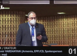 Выступление Владимира Варданяна на заседании ПАСЕ
