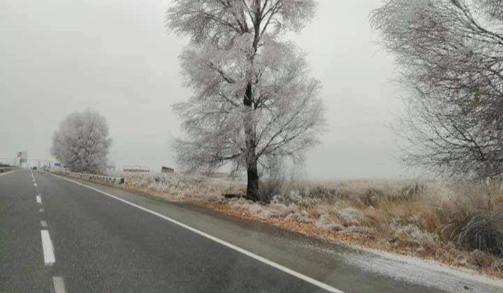 145944652_1680527282120337_4652958172298760506_n