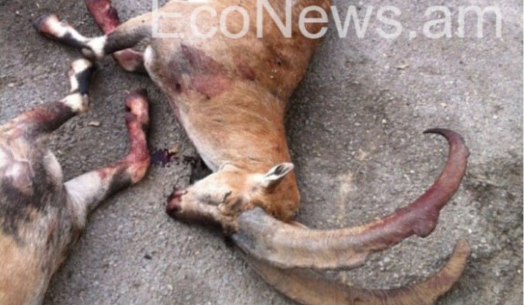 b1f9eb902f713a9b5228106b4ec3b1ea