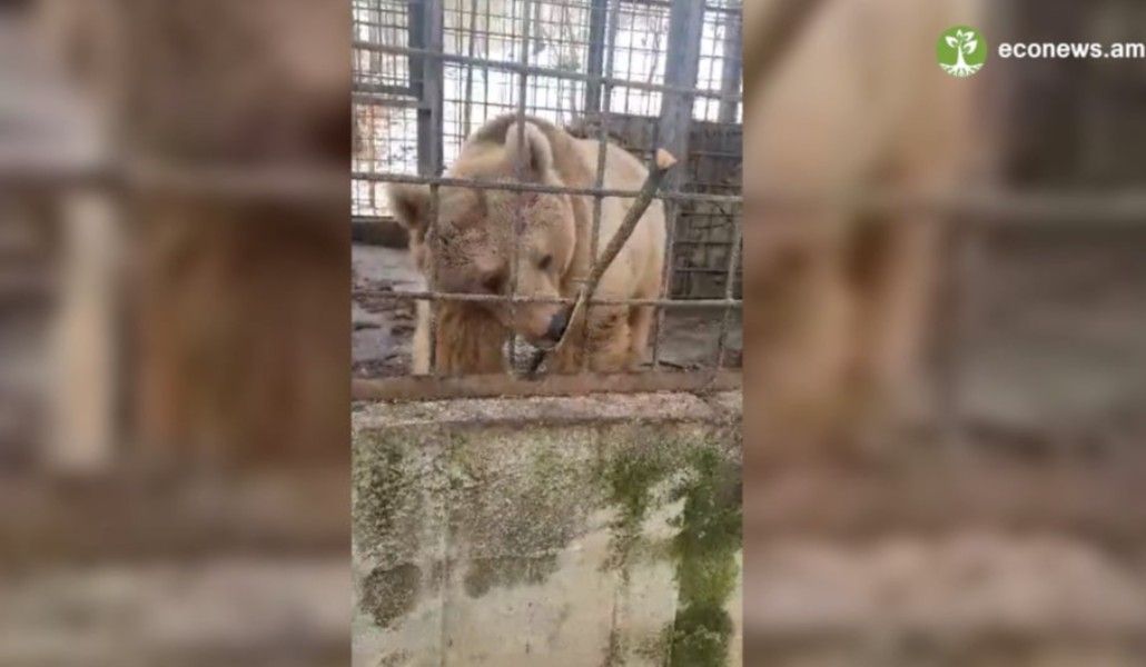 148095919_2683618145220198_3693024978923596468_n