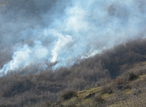 Ստեփանակերտին մոտ անտառային հատվածներում հրդեհ է բռնկվել