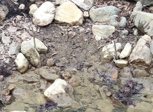 Վատնման եղանակով հափշտակվել է 25 միլիոն դրամից ավելի գումար