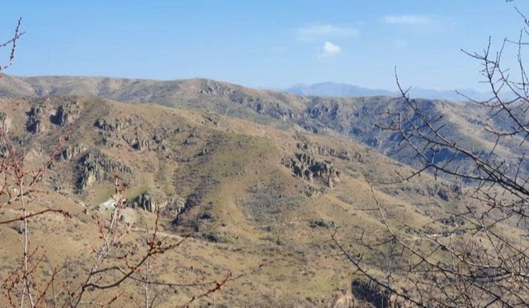 150585077_806117259987481_7452478731353113227_n