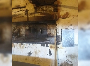 Չեն ձեռնարկվել միջոցներ վնասատուների դեմ պայքարելու ուղղությամբ․ կասեցվել է հացի երկու արտադրամասերի գործունեությունը