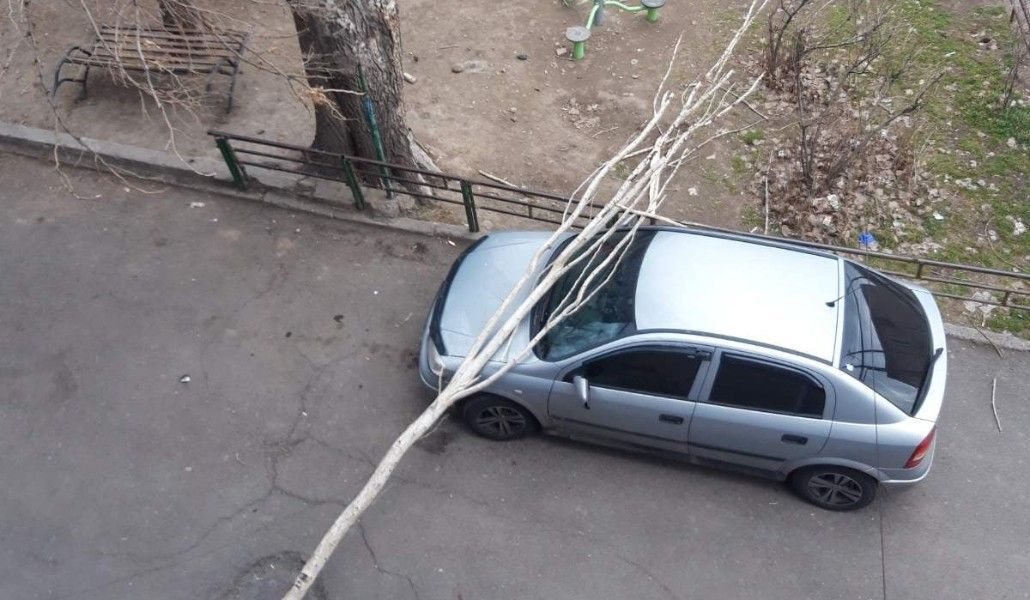 151035645_345652206984807_4727856828309596968_o