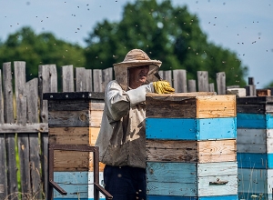 «Аврора» меняет стратегию в программе помощи Арцаху