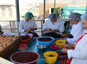 $2,65 մլն լրացուցիչ ֆինանսավորում՝ գյուղոլորտի զարգացման համար