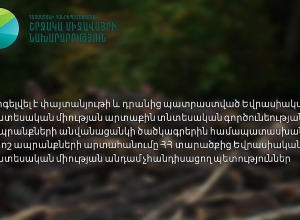 Արգելվել է փայտանյութի և դրանից պատրաստված որոշ ապրանքների արտահանումը ՀՀ-ից ԵԱՏՄ անդամ չհանդիսացող պետություններ