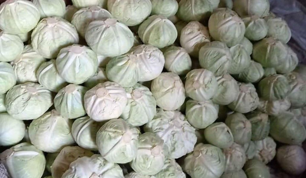 159620700_289335772614318_4261368713727480003_n